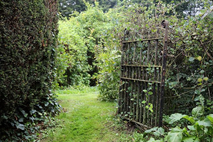 An open garden gate onto a green path